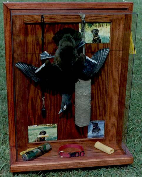 wood duck mounts. Wood Duck - Hen - Single Dead